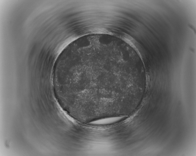 X0000102461141200809051304