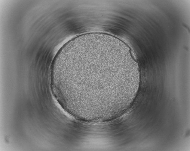 X0000102461142200809051304