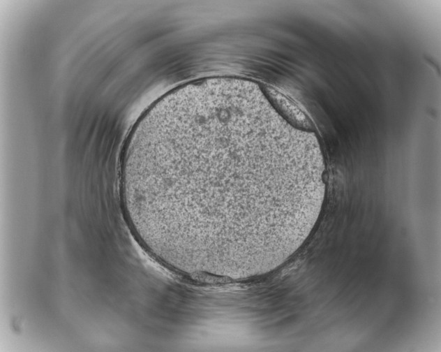 X0000102461143200809051304