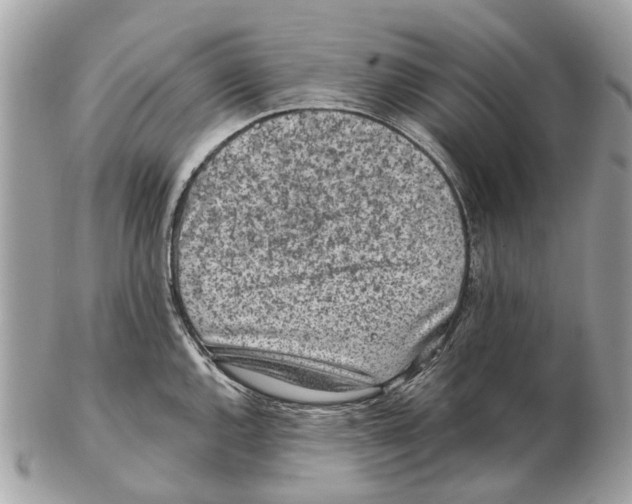 X0000102461144200809051304