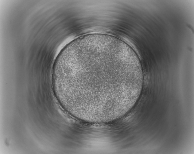 X0000102461146200809051304