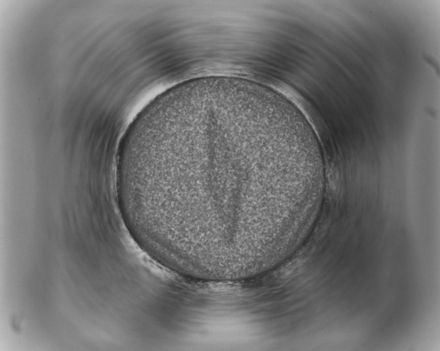 X0000102461147200809051304