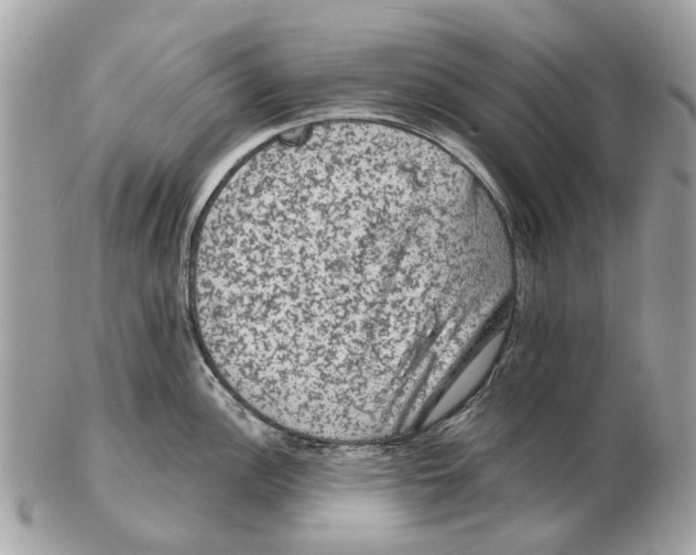 X0000102461148200809051304