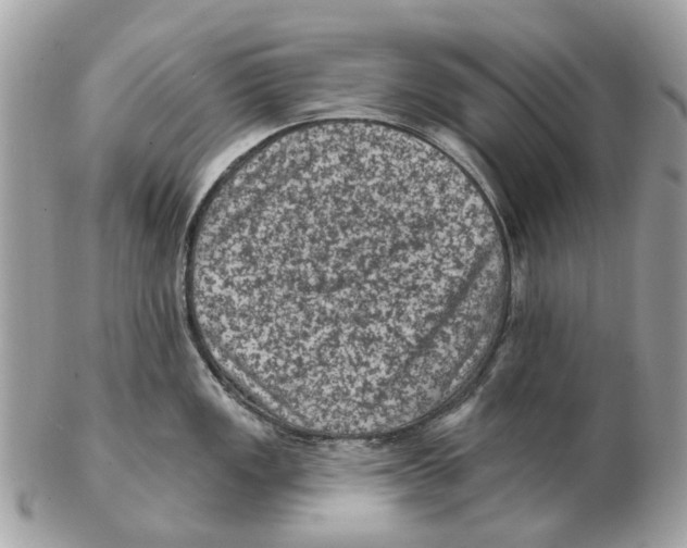 X0000102461149200809051304