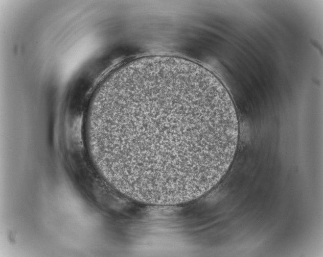 X0000102461150200809051304