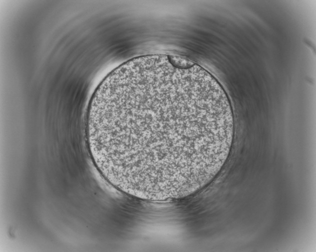 X0000102461152200809051304