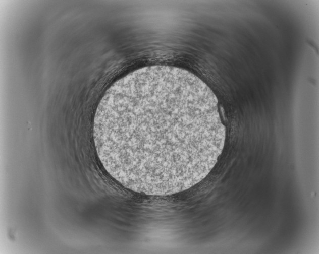 X0000102461153200809051303