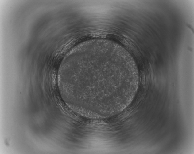 X0000102461154200809051303