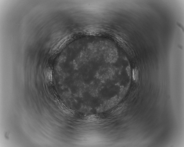 X0000102461155200809051303