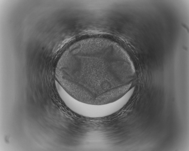 X0000102461157200809051303
