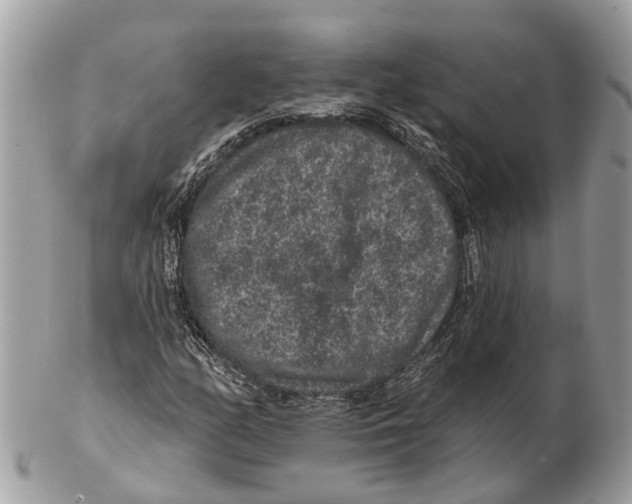 X0000102461158200809051303
