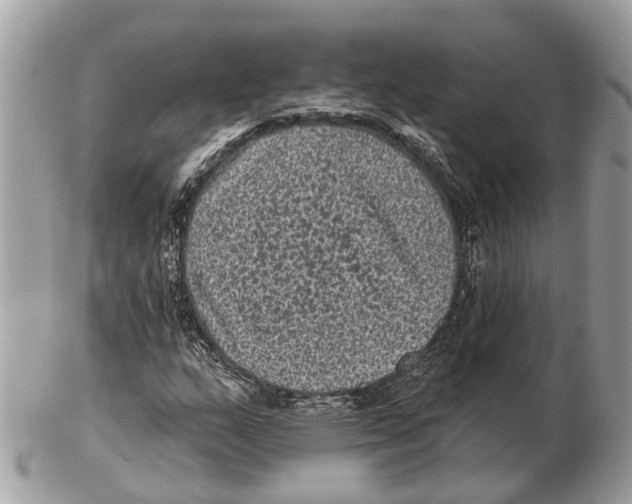 X0000102461159200809051303