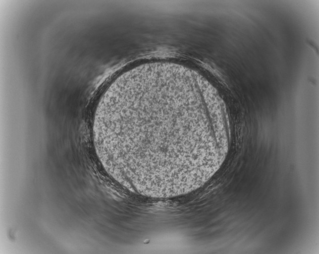 X0000102461160200809051303