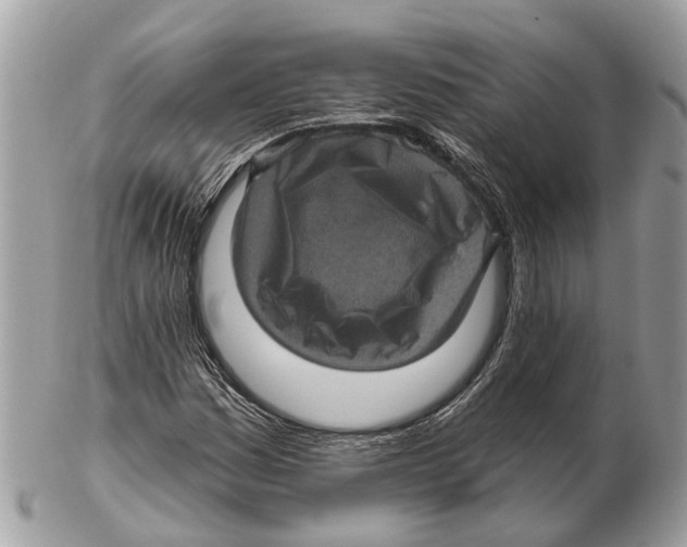 X0000102461161200809051303