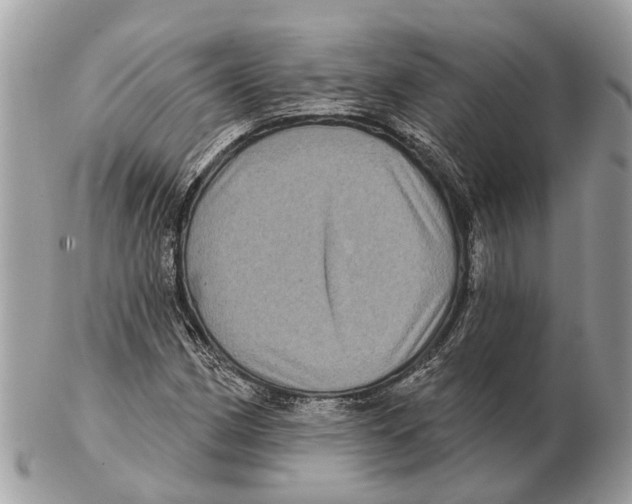 X0000102461162200809051303