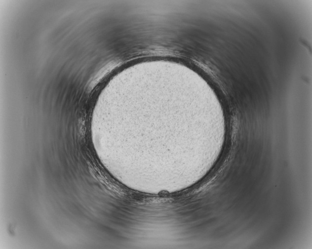 X0000102461163200809051303