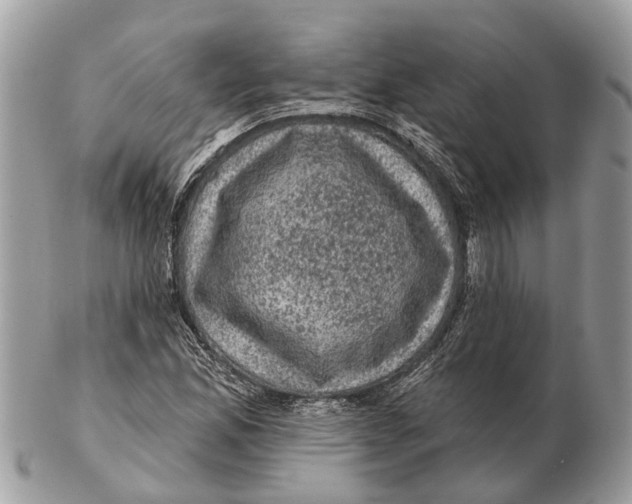 X0000102461165200809051303