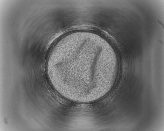 X0000102461166200809051303