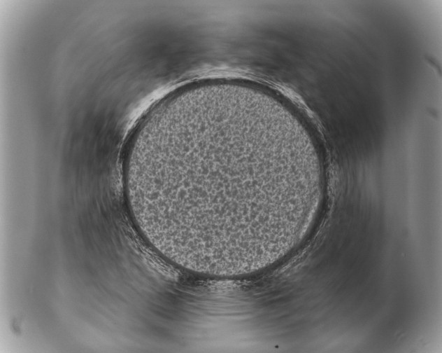 X0000102461167200809051303
