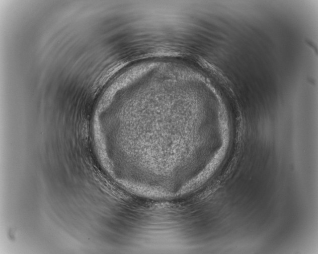 X0000102461169200809051303