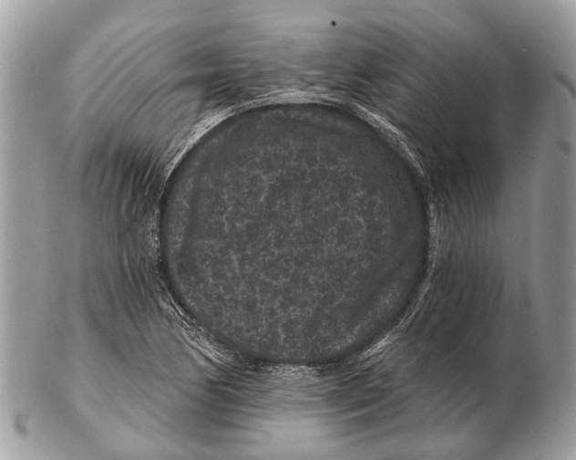 X0000102461170200809051303