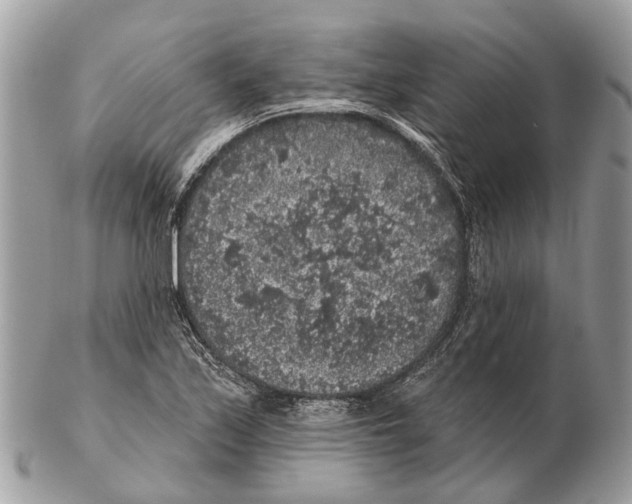 X0000102461171200809051303