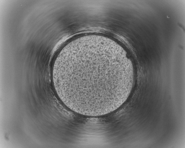 X0000102461172200809051303