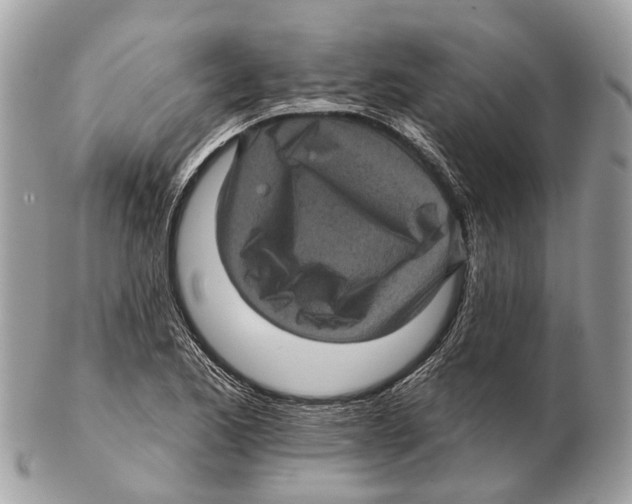 X0000102461173200809051303