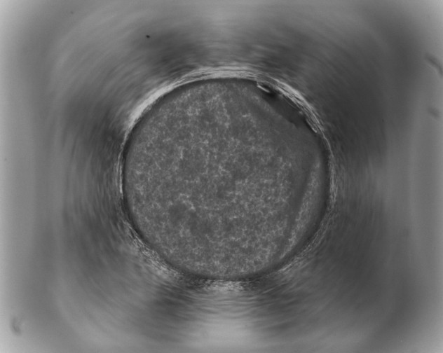X0000102461174200809051303