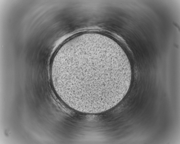 X0000102461176200809051303