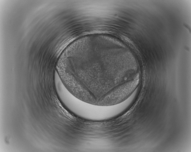 X0000102461177200809051303