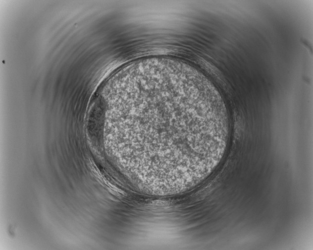 X0000102461178200809051303
