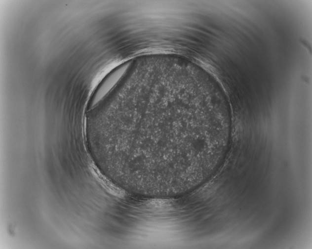X0000102461179200809051303