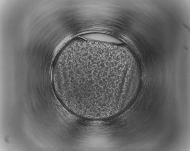 X0000102461180200809051303