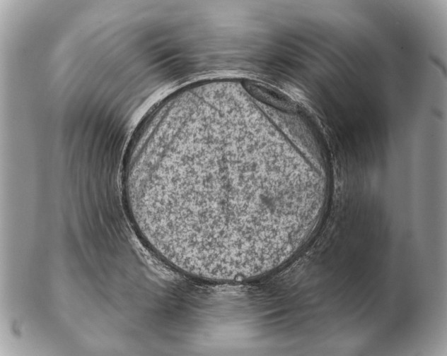 X0000102461181200809051303