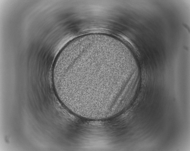 X0000102461182200809051303