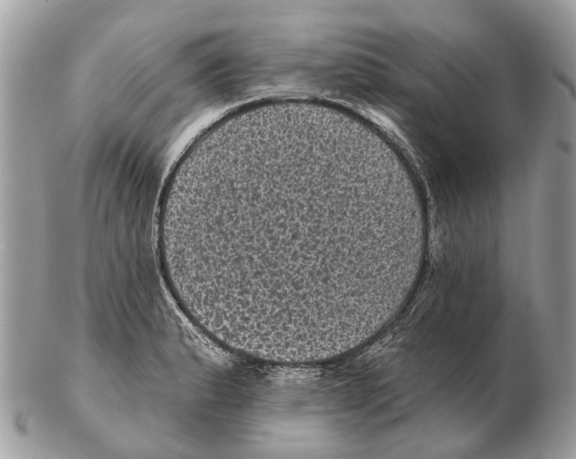 X0000102461183200809051303