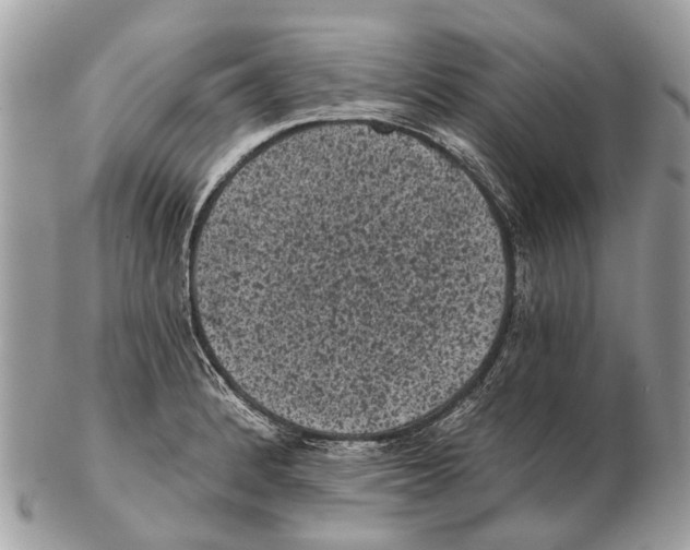 X0000102461184200809051303