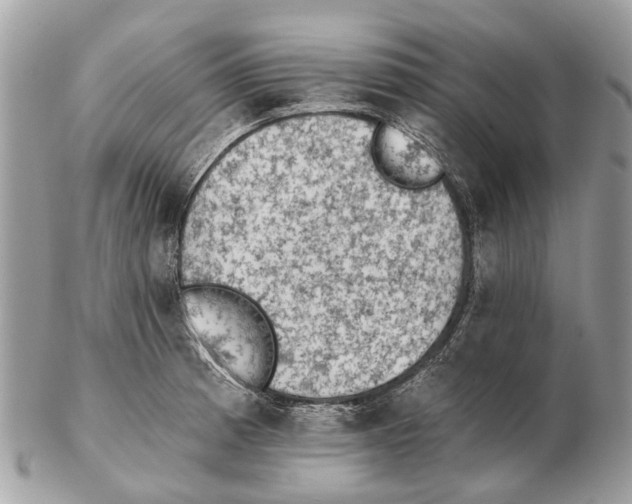 X0000102461185200809051303