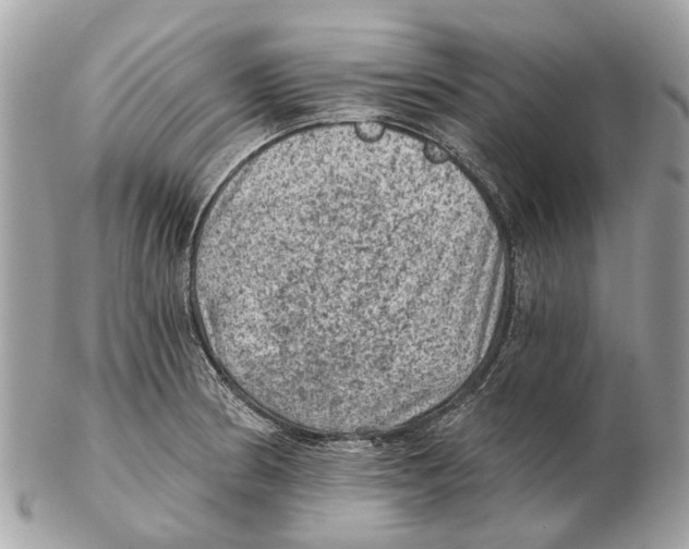 X0000102461186200809051303