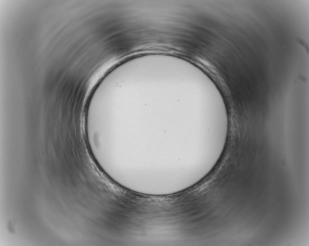 X0000102461188200809051303