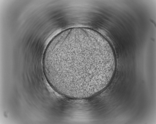 X0000102461189200809051303