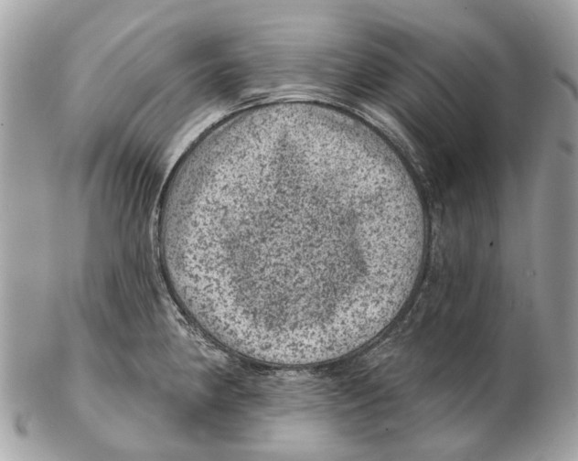 X0000102461190200809051303