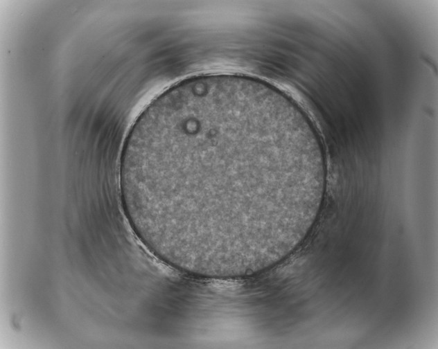X0000102461191200809051303