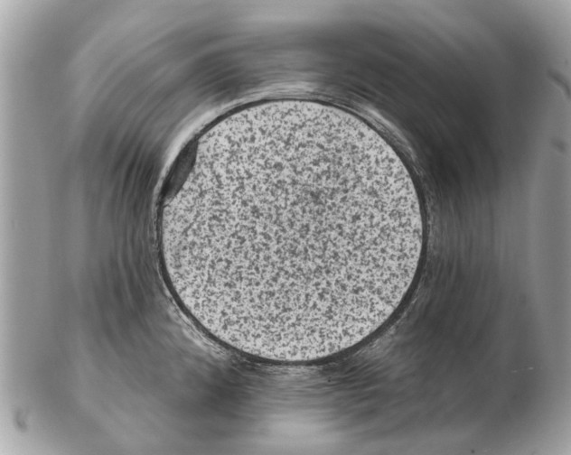 X0000102461192200809051303