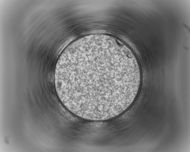 X0000102461193200809051303