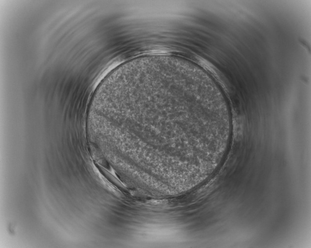 X0000102461194200809051303