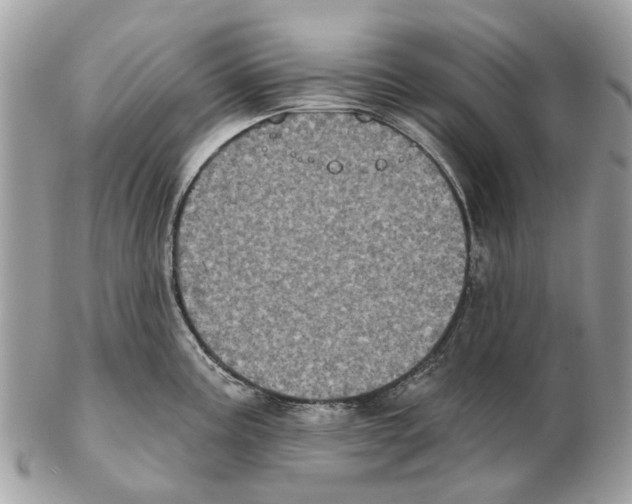 X0000102461195200809051303