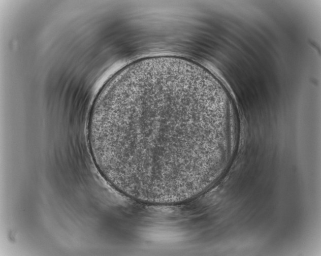 X0000102461197200809051302