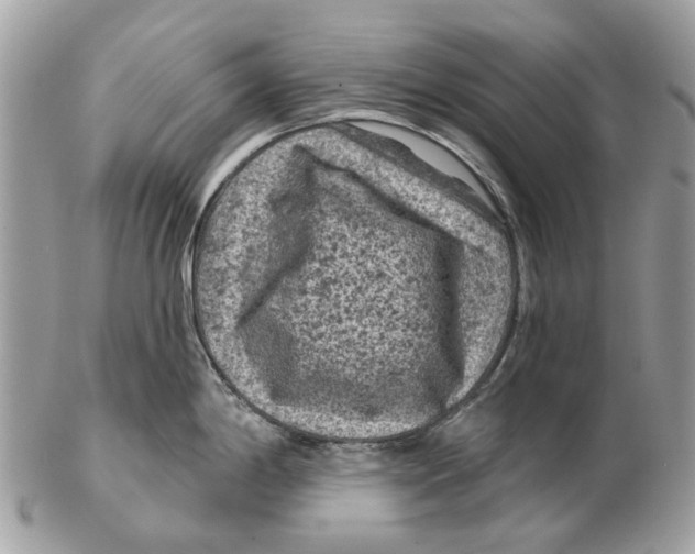 X0000102461198200809051302